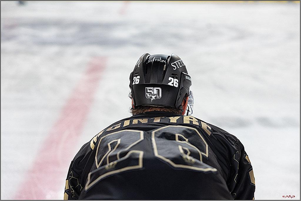 PENNY DEL;  Kölner Haie - Fischtown Pinguins; Köln, 22.12.2022